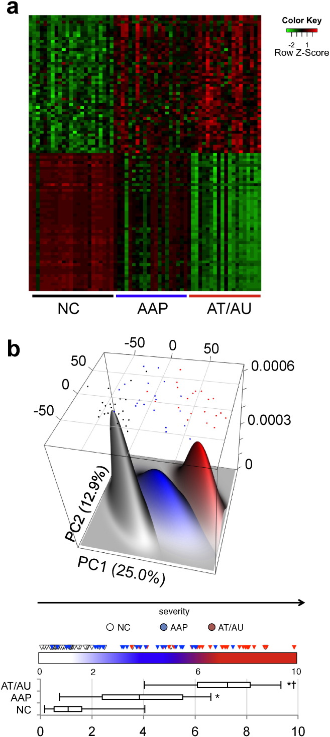 Fig 1.