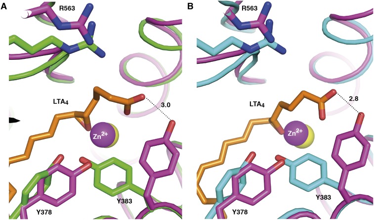 Fig. S3.