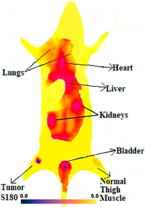 Fig. 8