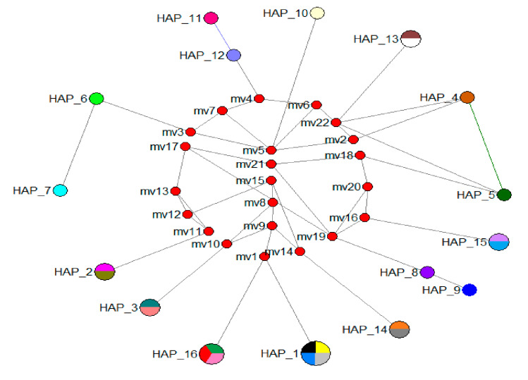 Figure 5