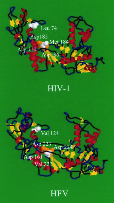 FIG. 1