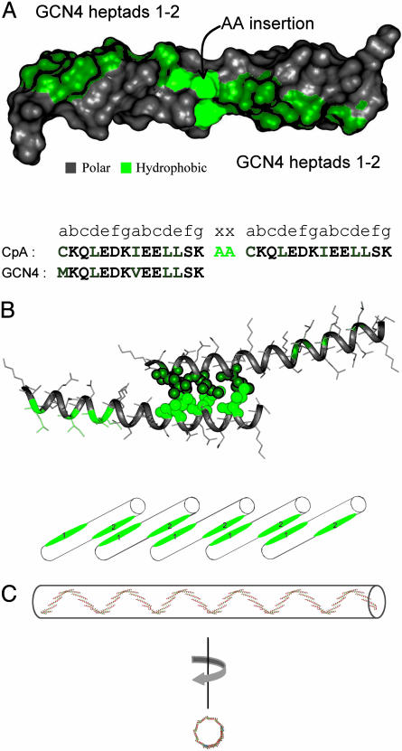 Fig. 1.