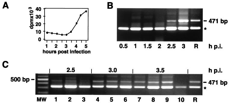 FIG. 8.