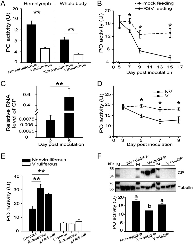 FIG 3