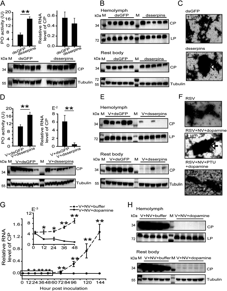 FIG 4