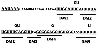 FIG. 6