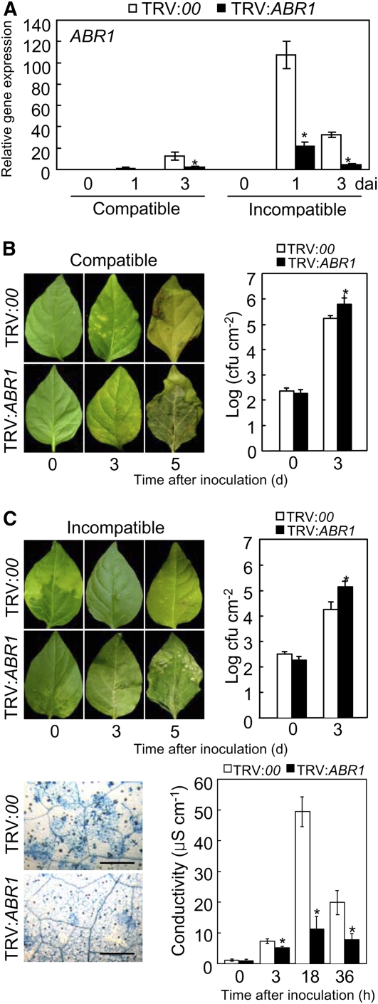 Figure 6.