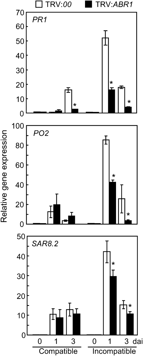 Figure 7.