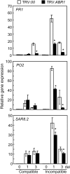Figure 7.