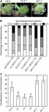 Figure 11.