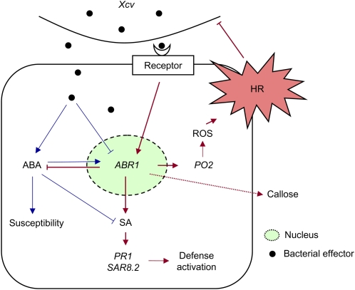 Figure 13.