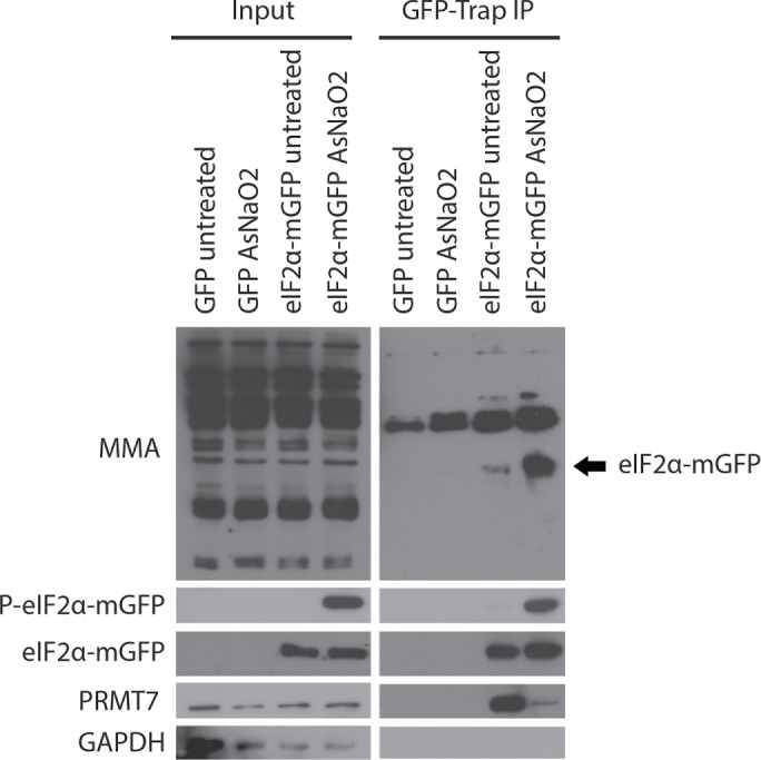 FIGURE 9: