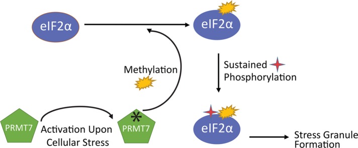 FIGURE 12: