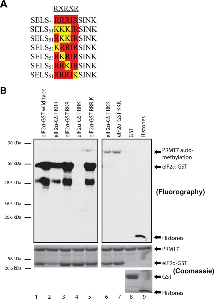 FIGURE 5: