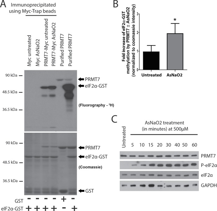 FIGURE 10: