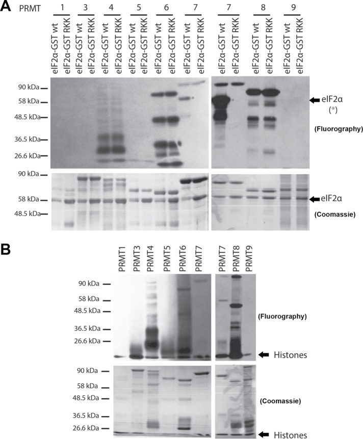 FIGURE 6: