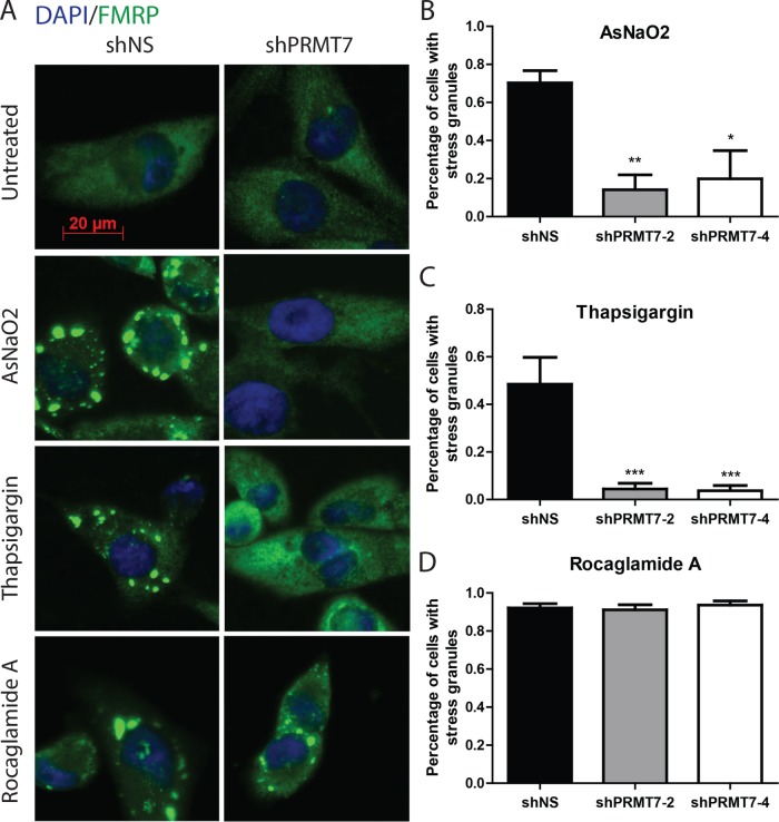 FIGURE 11: