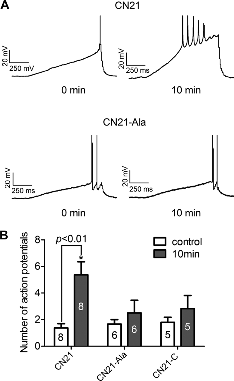 FIGURE 5.