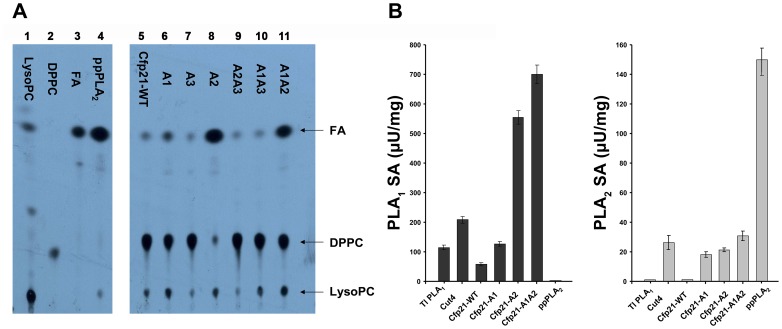 Figure 4