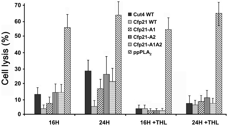 Figure 5