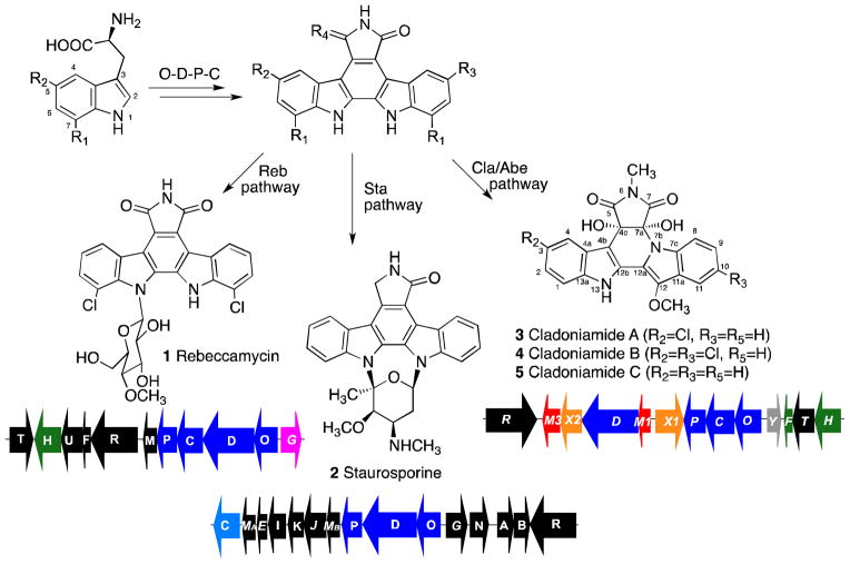 Scheme 1