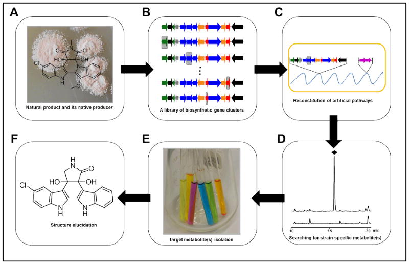 Scheme 2