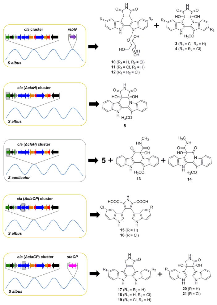 Scheme 3