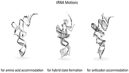 graphic file with name nihms748399u1.jpg