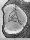388-1