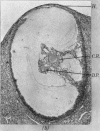 388-1