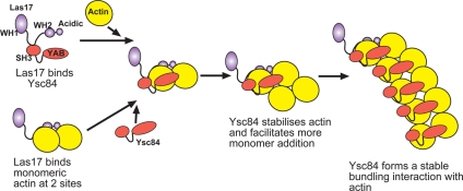 Figure 7.