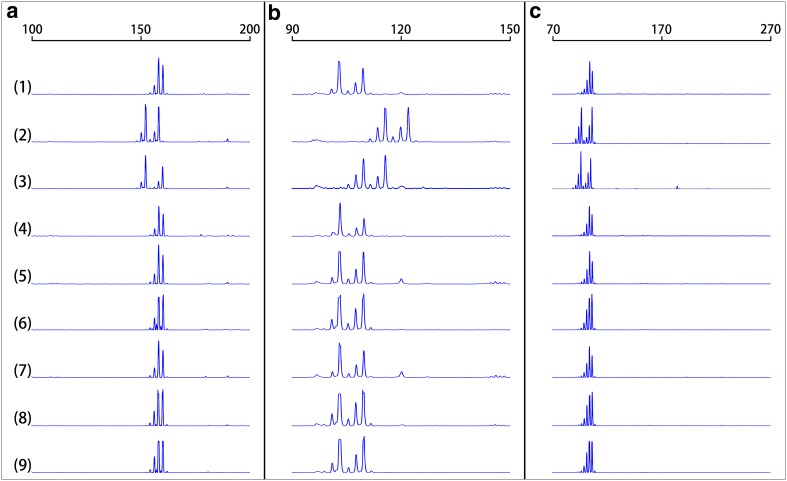 Fig. 4