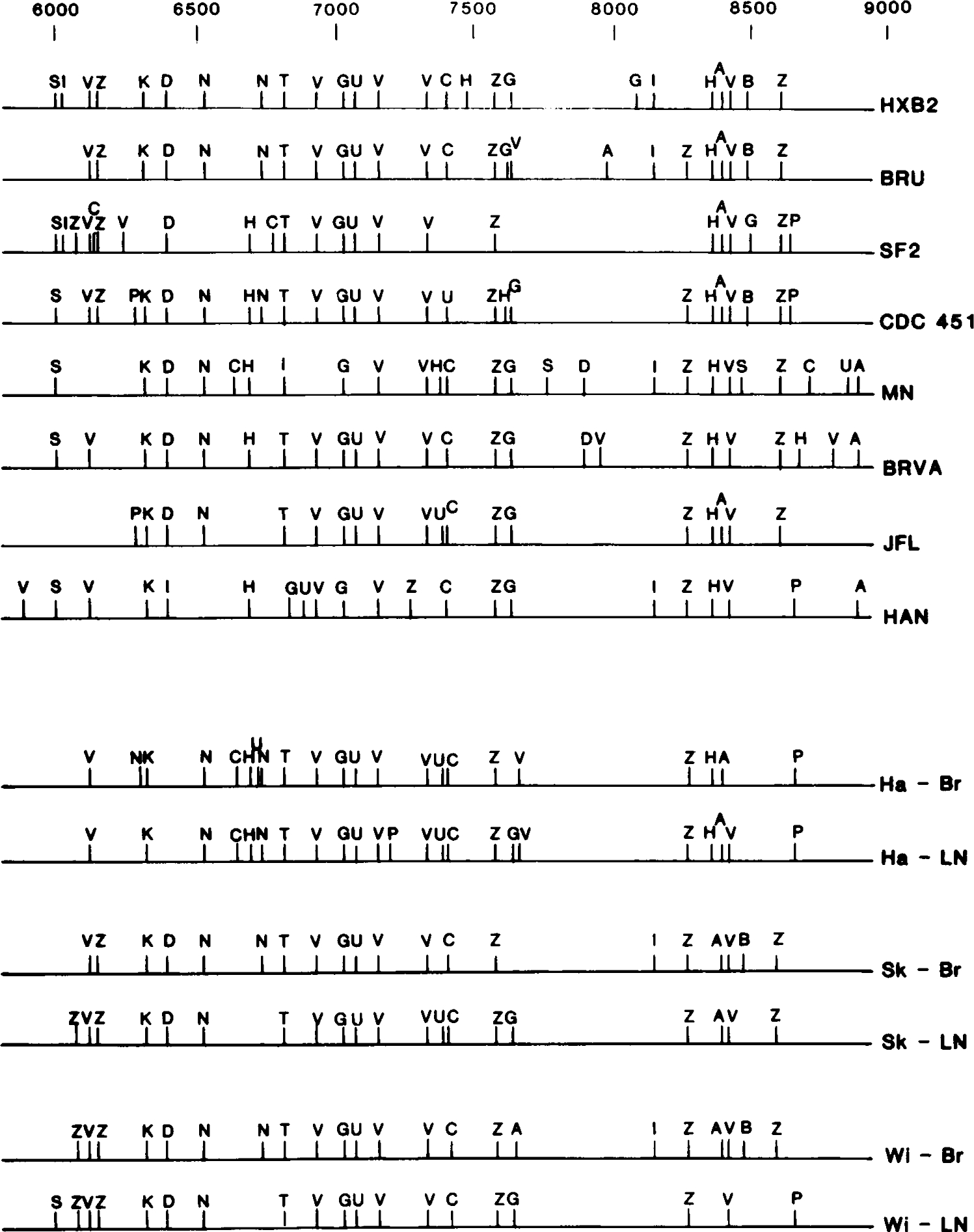 FIG. 3.