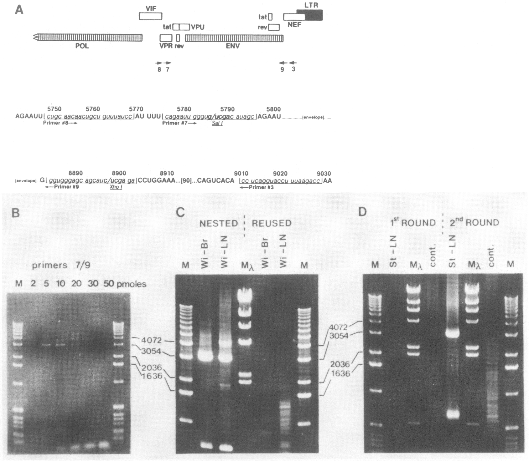 FIG. 1.