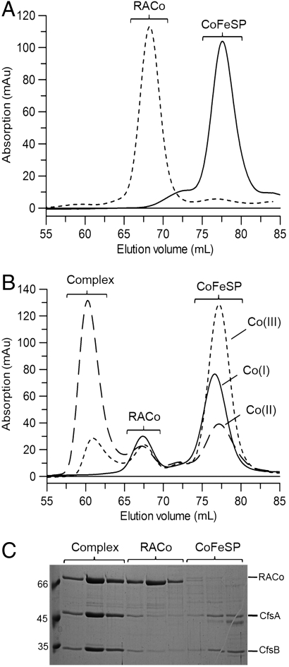 Fig. 2.