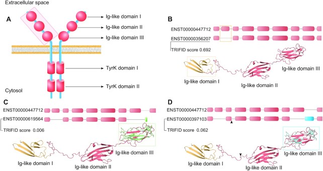 Figure 6.