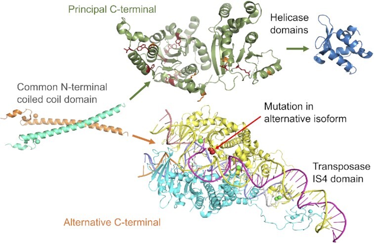 Figure 5.