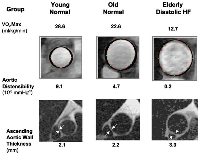 Fig. 10