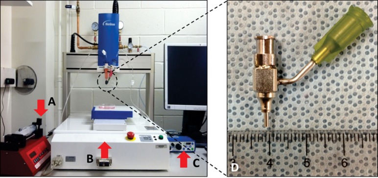 Fig. 1