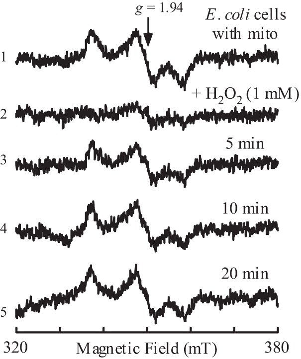 FIGURE 5.