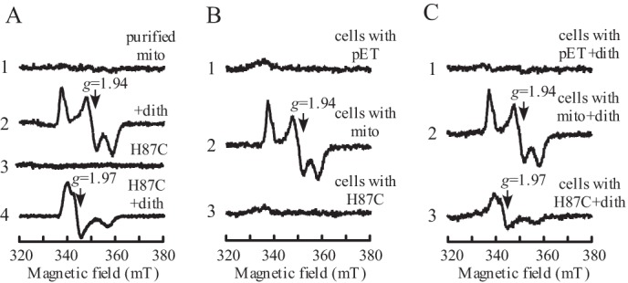 FIGURE 1.