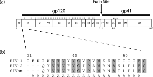 FIGURE 1.