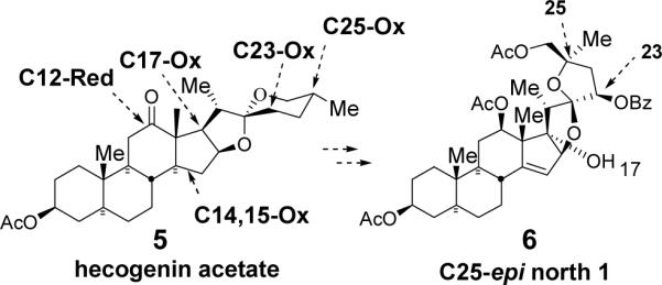 Scheme 1