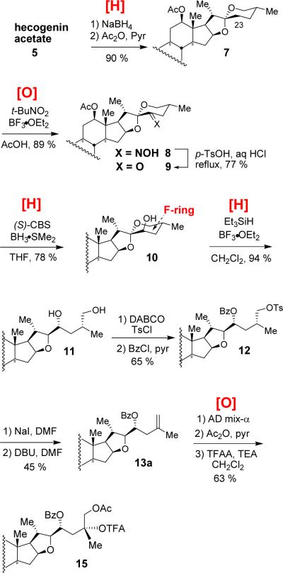 Scheme 2