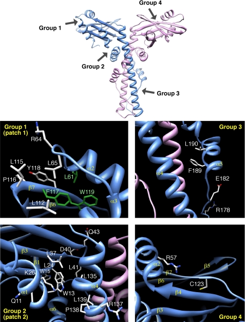 FIGURE 1.