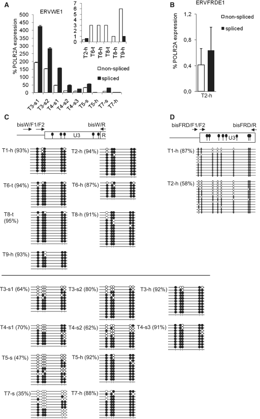 Figure. 3.