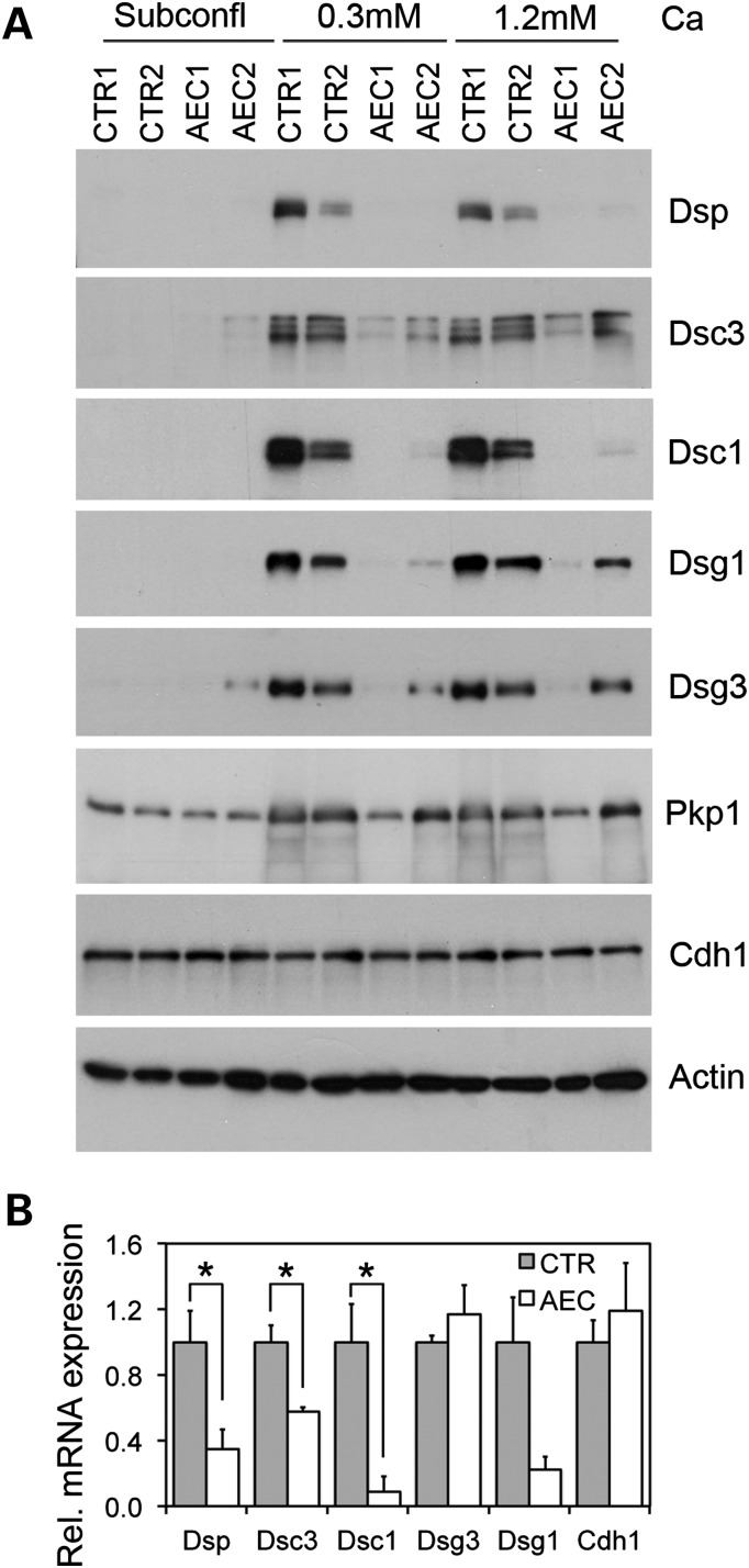 Figure 3.