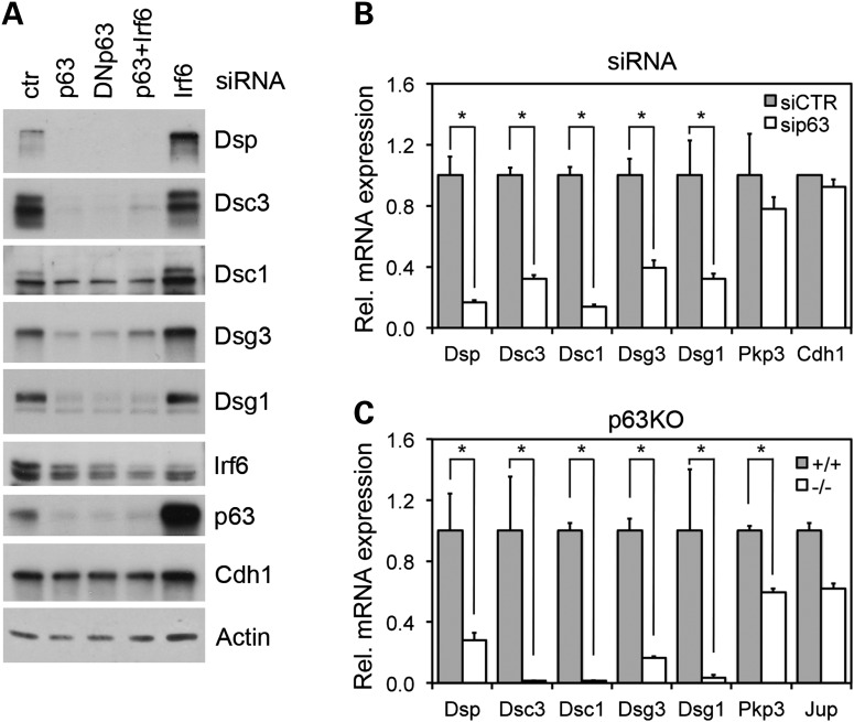 Figure 4.