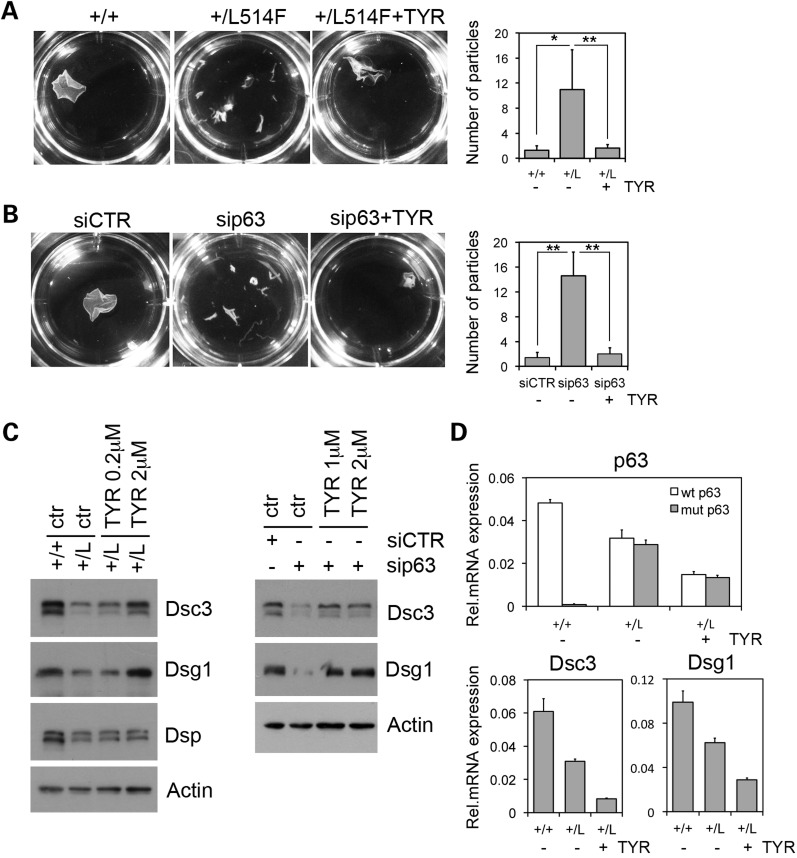 Figure 6.