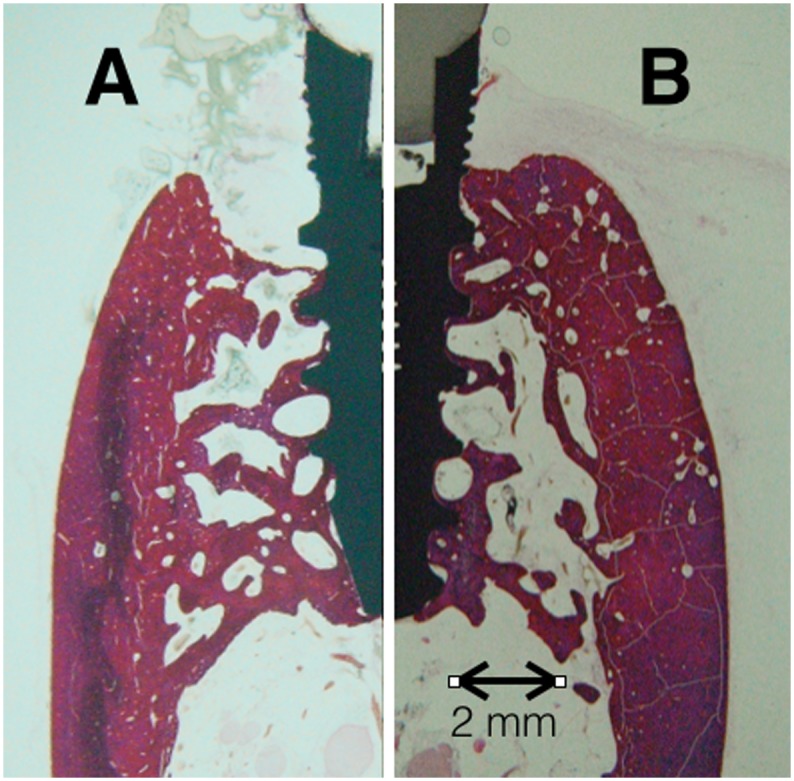 Fig 9